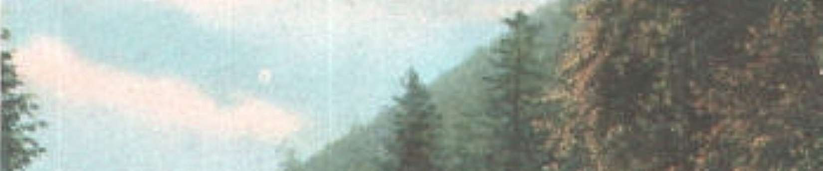 Klicken um die Schaltflächen zu zeigen oder zu verbergen