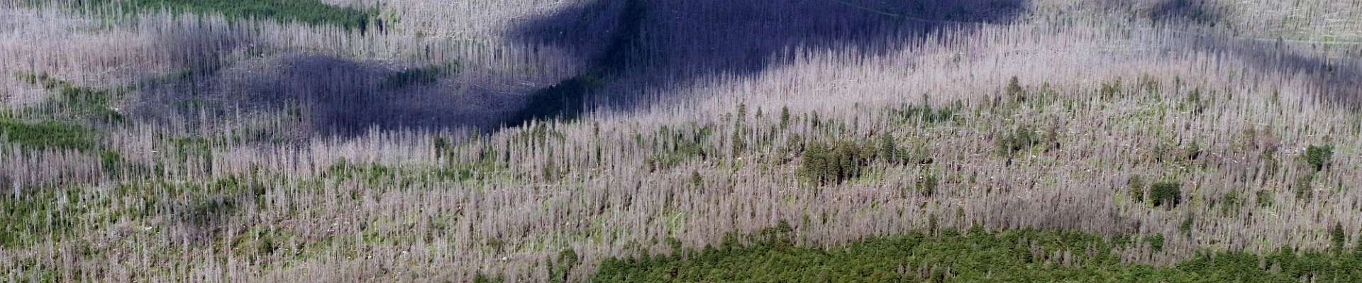 Klicken um die Schaltflächen zu zeigen oder zu verbergen