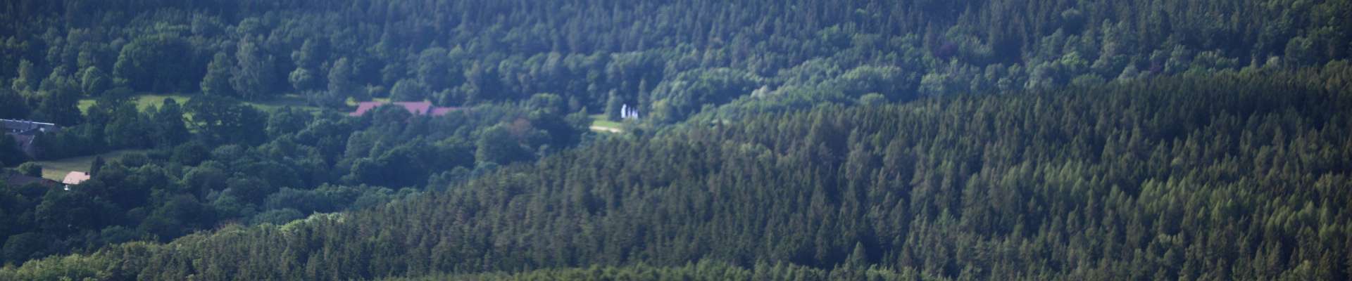 Klicken um die Schaltflächen zu zeigen oder zu verbergen