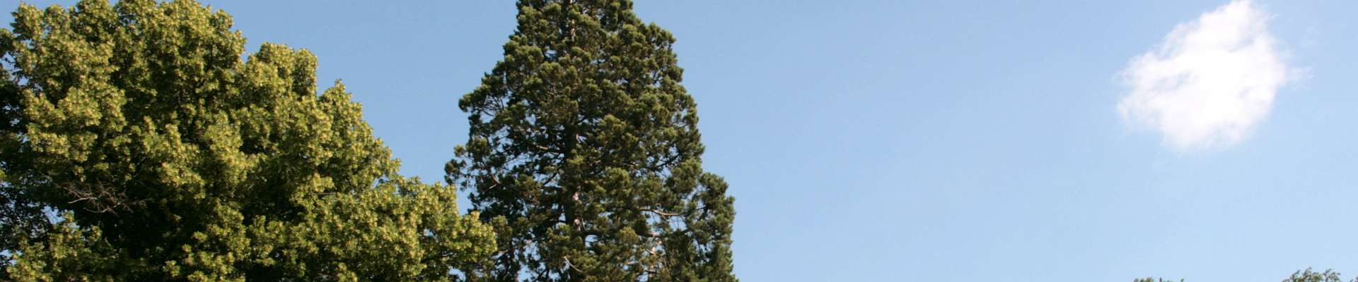 Klicken um die Schaltflächen zu zeigen oder zu verbergen