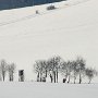 Winter_einzB_Kanzel