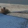 Deys_Schneeschatten_Kanzel3