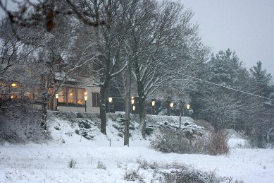 Deysingslust_imWinter