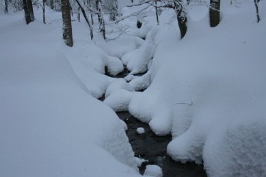 FT_Winter_Laucha_dick