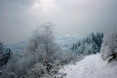 Schoeneleite_Winter_Weg_IB