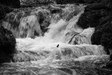 FT_Laucha_Wasser5_sw_ji